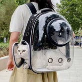 Pet Cat & Dog Carrying Bag – Breathable Transparent Space Backpack