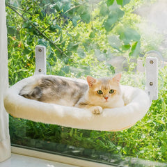 Cat Window Perch - Foldable Hammock with Strong Suction Cups