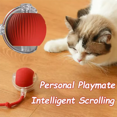 Intelligent Interactive Cat Ball / Pet Toy